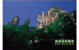 網(wǎng)絡熱門純玩游：張家界、天子山、袁家界、楊家界 自助三日游
