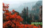 春節(jié)期間：張家界、天子山、金鞭溪自駕車精華精品游