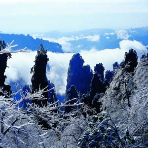 LD線：張家界、天子山、楊家界、猛洞河漂流純玩四日游