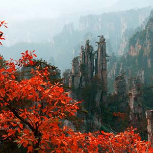 休閑自駕E線：張家界、袁家界、天子山、寶峰湖、鳳凰古城、沱江泛舟四晚五日游