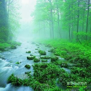 【純玩散拼尊享系列3】張家界、天子山、袁家界、黃龍洞、鳳凰三晚四日游