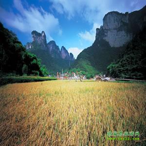 張家界往返純玩散拼：矮寨大橋、德夯苗寨、鳳凰古城、芙蓉鎮(zhèn)二日游