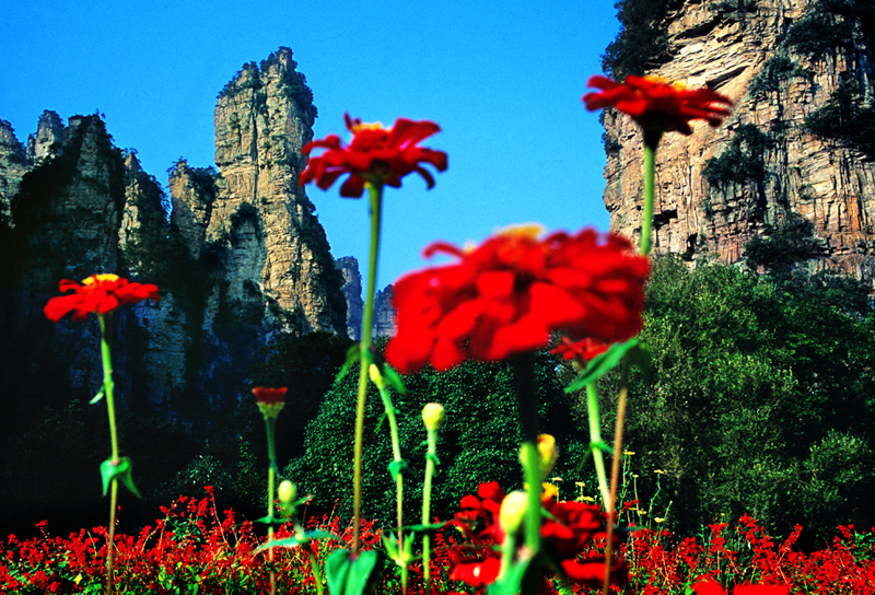 LF線：張家界國(guó)家森林公園、猛洞河漂流、鳳凰古城純玩自助五日游